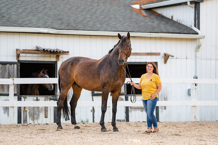 Horse standing along the fence in riding ring, rider standing alongside holding the reins.